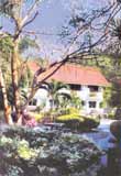 View from garden